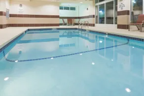 Holiday Inn Meridian East I 59 / I 20 - Piscine