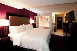 Holiday Inn Hotel & Suites St.Catharines-Niagara by IHG - Chambre