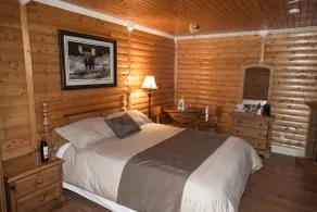 Viking Lodge Motel - Værelse