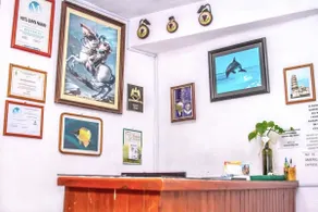 Hotel Quinta Paraiso - Receção