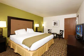 Holiday Inn Express Hotel & Suites Montrose - Black Canyon Area by IHG - Chambre