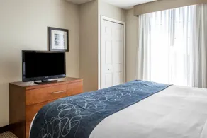 Comfort Suites Near Potomac Mills - Chambre