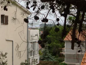 Apartment for six Persons With Three Bedrooms and Internet - Vistas desde la habitación