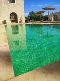 Riad Bini-Ddik - Piscine