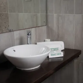 Terrace Green Hotel and Spa - Free Airport Shuttle Service - Salle de bain