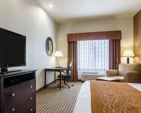 Comfort Inn & Suites Lawrence - University Area - Chambre