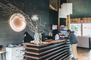 Hotel Lago Grey - Reception