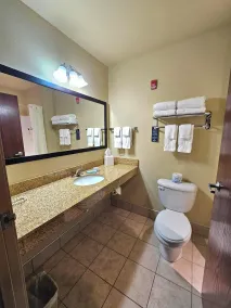 Cobblestone Inn & Suites - Clintonville - Badrum