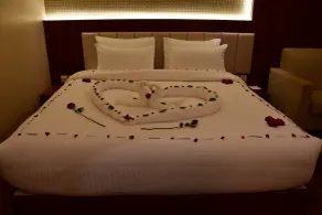 Pristine Hotel, Varanasi - Room