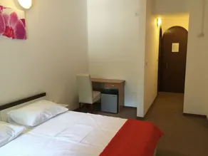 Pansion Ruža - Habitación