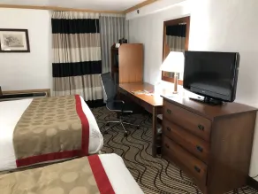 Ramada by Wyndham Birmingham Airport - Chambre