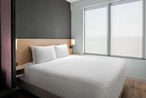 Hyatt Place Atlanta/Perimeter Center - Chambre