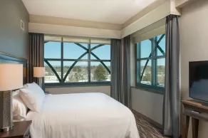 Embassy Suites Saratoga Springs - Room