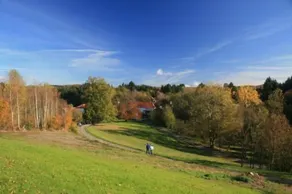 Hotel Hofgut Imsbach Lapointe - Property grounds