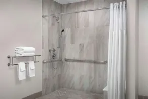 Hilton Garden Inn Philadelphia Ft. Washington - Room