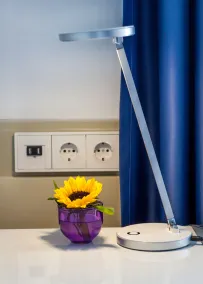Hotel ZweiLinden Meckenheim Bonn - Room