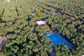 melograno Holiday Home featured with Swimming Pool and Private Beach - Pool