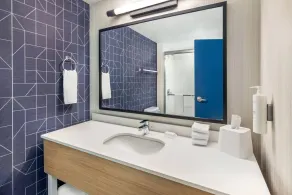 Spark by Hilton Roanoke Airport - Salle de bain