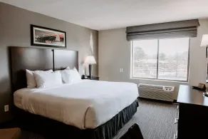 Wingate by Wyndham - Dulles International - Chambre