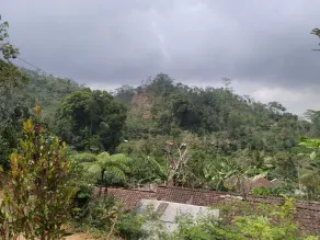 Kus Homestay - Vistas desde la habitación
