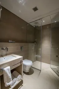 Enrise by Sayaji Nashik - Bathroom