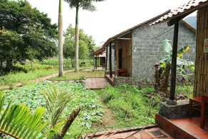Viet Hai Lan Homestay - Jardim