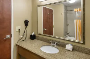 La Quinta by Wyndham Boone - Salle de bain