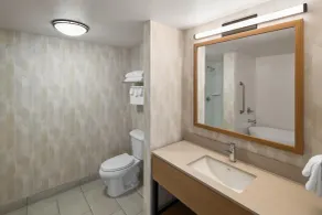 Hampton Inn & Suites Bremerton - Bathroom
