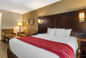 Comfort Inn & Suites near Six Flags - Chambre
