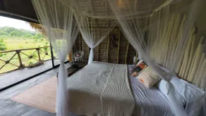 Dominican Jungle Resort  - Chambre