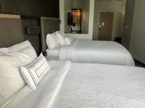 SpringHill Suites Dallas Arlington North - Chambre