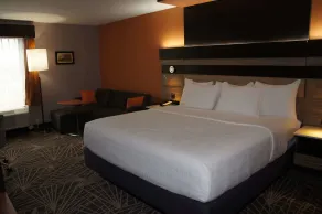 La Quinta by Wyndham Branson - Chambre