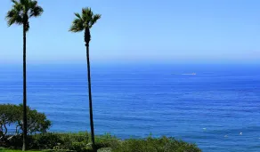 The Ritz-Carlton, Laguna Niguel - Vue de la chambre