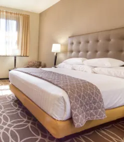 Drury Plaza Hotel Cleveland Downtown - Chambre