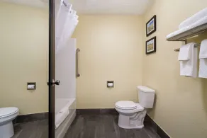 Comfort Inn Yankton SD - Badezimmer