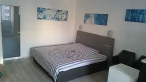 Calea Victoriei Residence - Room