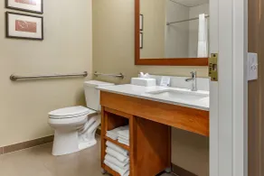 Comfort Suites Dover University Area - Salle de bain