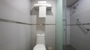 Holiday Inn Express Mexico- Toreo by IHG - Bathroom