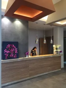 Begonville Beach Hotel - Adult Only - Recepción