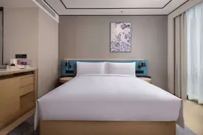 Hilton Garden Inn Jingdezhen Taoyuan Valley - Habitación