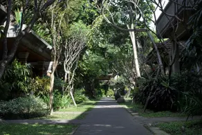 Matahari Bungalow - View from room