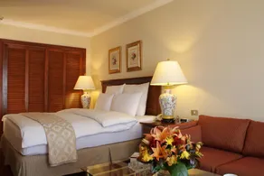 Regency Palace Amman - Room