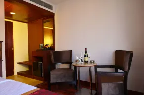 Raaj Bhaavan Clarks Inn Chennai - Værelse