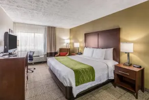 Comfort Inn Medford-Long Island - Room