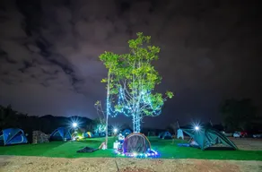 Ozone Tented Camp See the Star - Pool
