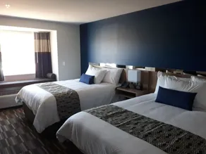 Microtel Inn & Suites by Wyndham Woodland Park - Chambre