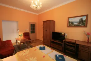 Apartment No. 10 Zeyerova 13 - Quarto