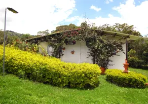 Posada Ecoturistica Villa Rouse - View from room