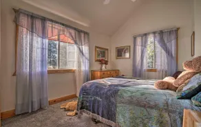 Cozy Bear North - Habitación