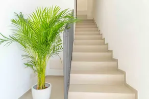 Nuova -Luxury Rooms & Apartment- - Eingangsbereich